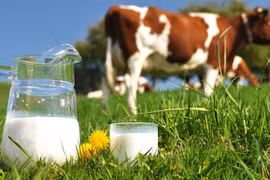 Vietnam Dairy : bientôt la 2e édition à Hô Chi Minh-Ville