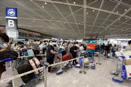 Vietnam-Japon : assouplir progressivement les restrictions de voyage entre les deux pays