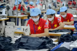 Reprise des exportations. Photo: VietnamPlus
