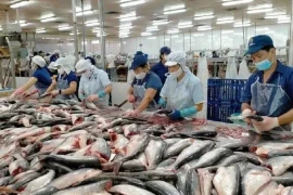 Les exportations de produits aquatiques devraient atteindre 4,4 milliards de dollars au premier semestre