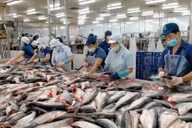 Les exportations de produits aquatiques devraient atteindre 4,4 milliards de dollars au premier semestre