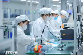 Le vice-Premier ministre Lê Thanh Long a signé la directive n° 43/CT-TTg du 4 décembre 2024 du Premier ministre sur la promotion de la formation des ressources humaines pour l'industrie des semi-conducteurs et certaines industries des technologies numériques de base. Photo: VNA