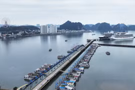 Les navires de croisière mouillent au port de croisière international d'Ha Long. Photo: baoquangninh.vn