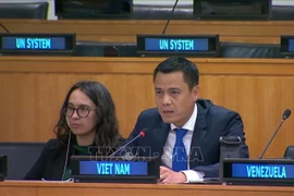 L'ambassadeur Dang Hoang Giang, chef de la Mission permanente du Vietnam auprès de l'ONU. Photo: VNA