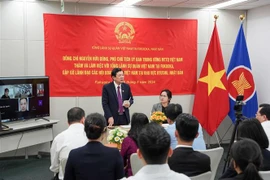 Le vice-président du Comité central (CC) du Front de la Patrie du Vietnam (FPV), Nguyên Huu Dung, rencontre des représentants d'associations vietnamiennes au Japon. Photo: VNA