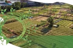 Le village maraîcher de Tra Quê élu parmi les meilleurs villages touristiques du monde en 2024