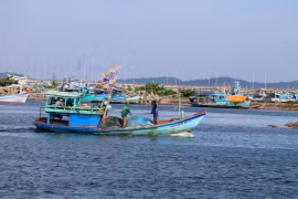 Ba Ria - Vung Tau lance une nouvelle campagne de lutte contre la pêche INN. Photo: VNA