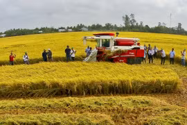 Les Accords de libre-échange - moteur de la croissance agricole