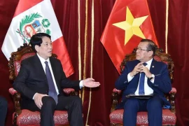 Le président Luong Cuong rencontre le président du Congrès du Pérou, Eduardo Salhuana. Photo: VNA