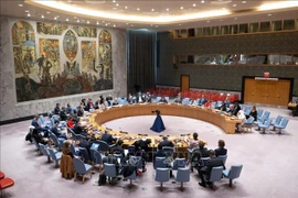 Débat public sur la situation au Moyen-Orient, y compris la question palestinienne. Photo: Xinhua/VNA