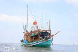 Ca Mau renforce le contrôle de sa flotte de pêche pour lutter contre la pêche INN. Photo: VNA