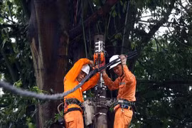Rétablissement de l’alimentation en électricité à plus de 4,8 millions de clients. Photo: VNA