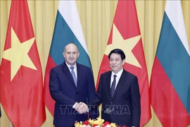 Les deux présidents vietnamien Luong Cuong (droite) et bulgare Rumen Radev. Photo: VNA