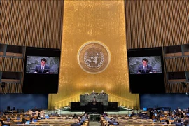 L'ambassadeur Dang Hoang Giang, chef de la mission permanente du Vietnam auprès de l'ONU, s'exprime lors de la session. Photo: VNA