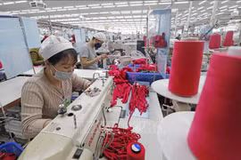 La compagnie SCAVI Huê installée dans la ZI de Phong Diê, province de Thua Thiên Huê. Photo: VNA