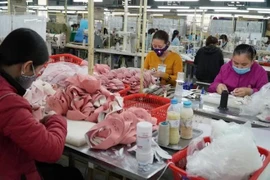 Le transfert des investissements vers le secteur des matières premières du textile et de la chaussure nécessite davantage d'efforts de la part des entreprises nationales. Photo: VNA