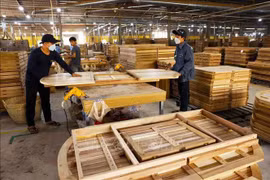 Les entreprises s'efforcent d'investir dans l’innovation et les nouvelles technologies afin d’améliorer la qualité des produits transformés. Photo d'illustration: VNA
