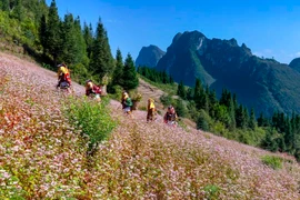 Hà Giang se distingue par son paysage naturel majestueux, notamment le géoparc mondial UNESCO du plateau karstique de Dông Van, ainsi que par sa riche diversité culturelle, avec 19 groupes ethniques. Photo: VNA