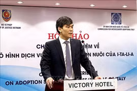 Dang Trân Anh Tuân, directeur du Département de l’adoption des enfants du ministère de la Justice s’exprime lors du séminaire. Photo : VNA