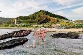 350 nageurs se sont joints à l'épreuve de 5 km qui a débuté à la porte To Vo sur l'île Lon (Grande) et s'est terminée sur l'île Be (Petite). Photo : VNA