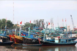 Des bateaux de pêche accostent dans un estuaire. Photo : VNA