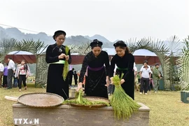 Les femmes Tày choisissent le jeune riz gluant pour fabriquer le côm. Photo: VNA