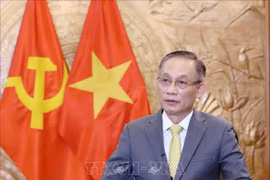 Le président de la Commission des relations extérieures du Comité central du PCV Lê Hoài Trung. Photo: VNA