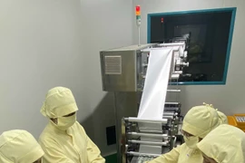 Des ouvriers au travail dans l'usine de la compagnie par actions Medcen, dans le parc industriel Hoa Binh, province de Long An (Sud). Photo : VNA