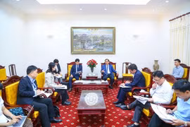 Lors de la rencontre entre le vice-ministre du Travail, des Invalides et des Affaires sociales Nguyen Ba Hoan et le représentant en chef adjoint de l'Agence japonaise de coopération internationale (JICA) au Vietnam Kubo Yoshitomo. (Photo : VNA)