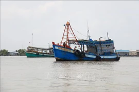 Des bateaux de pêche. Photo : VNA