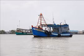 Des bateaux de pêche. Photo : VNA