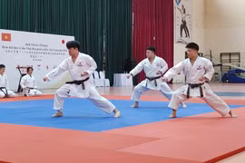 Karatedo est un des art-martiaux populaires à Hô Chi Minh-Ville. Photo: CVN