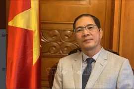 L’ambassadeur du Vietnam en Bulgarie simultanément en Macédoine du Nord Dô Hoàng Long. Photo : VNA