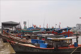 Des bateaux de pêche mouillant au port de pêcge de Dinh An, dans la province de Trà Vinh. Photo: VNA
