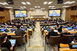 Vue de la 34e réunion du États parties à la CNUDM (SPLOS-34), tenue du 10 au 14 juin à New York. Photo: VNA