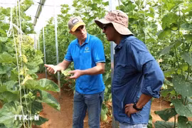 C’est pour mettre en lumière des solutions issues du terrain et de la science que le Cirad et Le Monde organisent lundi 25 novembre à Paris la conférence «Comment nourrir 10 milliards d’humains sans détruire la planète ?». Photo : VNA