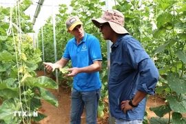 C’est pour mettre en lumière des solutions issues du terrain et de la science que le Cirad et Le Monde organisent lundi 25 novembre à Paris la conférence «Comment nourrir 10 milliards d’humains sans détruire la planète ?». Photo : VNA