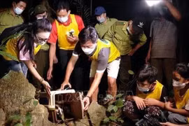 Des gens participent à une visite «Ramener les animaux à la maison» dans le parc national de Cuc Phuong, dans la province de Ninh Binh (Nord). Photo : VNA