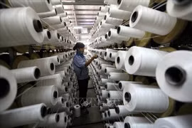Ligne de production de fibres de KSA Polymer JSC Hanoi, financée par la République de Corée, dans le parc industriel de Thuy Van, dans la province de Phu Tho. Photo : VNA