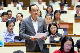 Le député Nguyên Ngoc Son de la province de Hai Duonhg s’exprime sur le projet de ligne ferroviaire à grande vitesse Nord-Sud. Photo : VNA