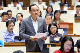 Le député Nguyên Ngoc Son de la province de Hai Duonhg s’exprime sur le projet de ligne ferroviaire à grande vitesse Nord-Sud. Photo : VNA