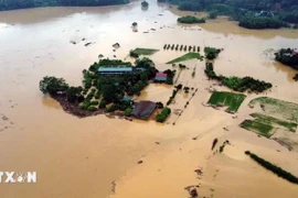 La province de Tuyên Quang a demandé aux autorités locales de faire en sorte que la population s'éloigne le plus possible des zones inondées et ne manque pas de nourriture et d'eau potable. Photo: VNA