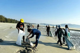 Les élèves sur l’île de Cô Tô participent à la collecte des déchets et au nettoyage de la plage. Photo : VNA
