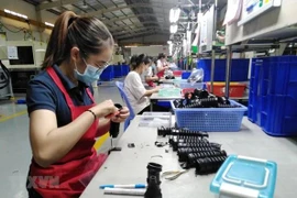 Fabrication de composants d'amortissement en caoutchouc de haute technologie dans l'usine de la SARL Tuong Lai, à Dông Nai. Photo : VNA
