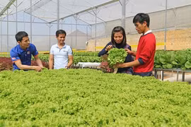 L’agriculture laboure le sillon des hautes technologies