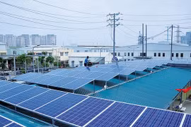 Une compagnie hongkongaise cherche à investir dans la province de Hâu Giang