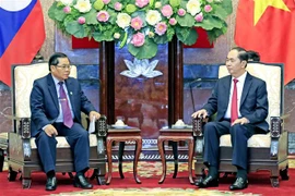 Le président exhorte à booster la coopération parlementaire Vietnam-Laos