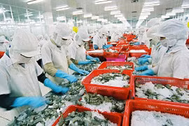 Exportations de crevettes, fruits et légumes : Bilan et perspectives