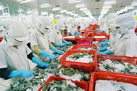Exportations de crevettes, fruits et légumes : Bilan et perspectives