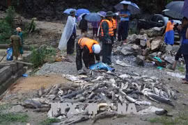 La Croix-Rouge du Vietnam accorde une aide aux victimes des crues